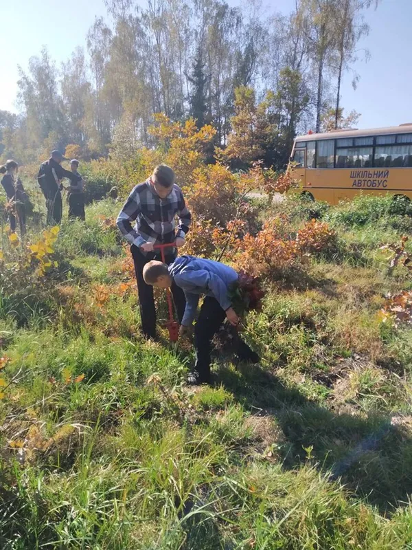 На Волині школярі посадили дві тисячі дубів (фото)