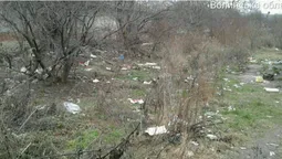 Купи гілля та сміття: у Луцьку виявили порушників благоустрою (фото)