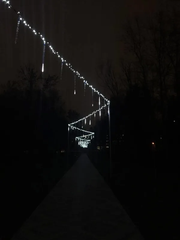 Як змінився центральний парк Луцька (фото)