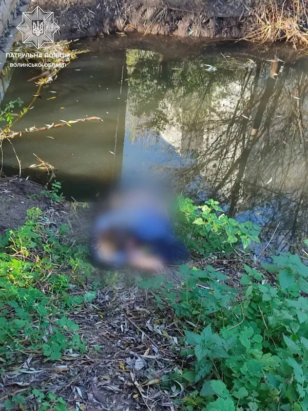 У Луцьку патрульний у позаслужбовий час врятував життя чоловіку (фото)