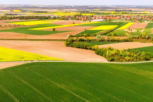 На Волині орендар 4 роки не платив за 88 гектарів землі