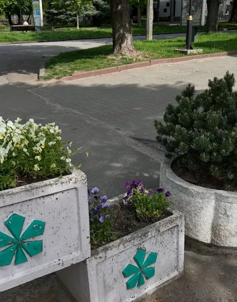 У Нововолинську вандали «живцем» повидирали квіти з Алеї Героям АТО (фото)