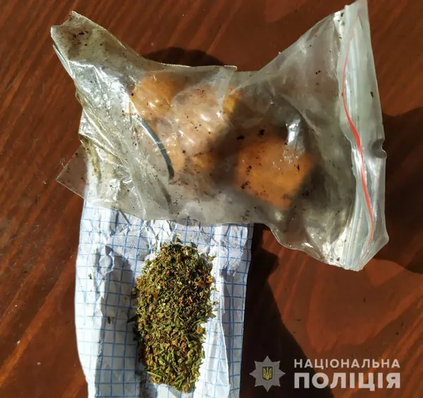 У Ковельському районі під час обшуків знайшли наркотики та пістолети (фото)