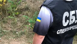 У трьох областях СБУ виявила мережу схронів із боєприпасами (фото)