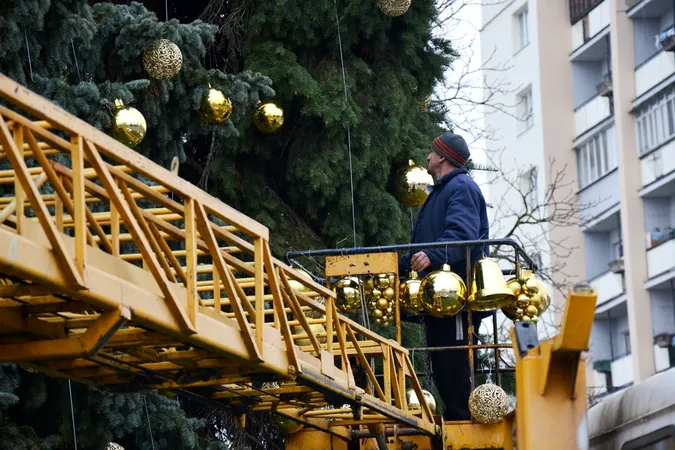 Головні ялинки Луцька прикрашають кулями (фото)