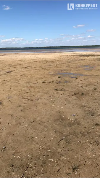 Травневий Світязь: який вигляд має озеро зараз (фото)