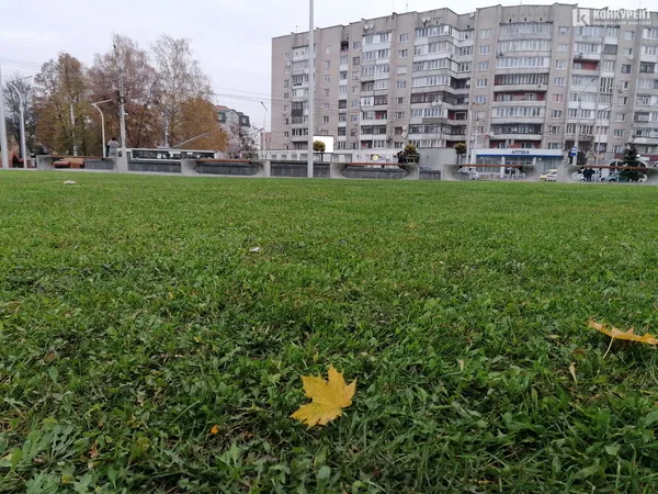 Осінь у  Луцьку (фото)