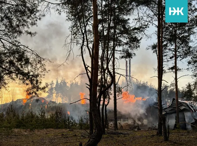 На Волині – масштабна пожежа на деревообробному підприємстві (фото)