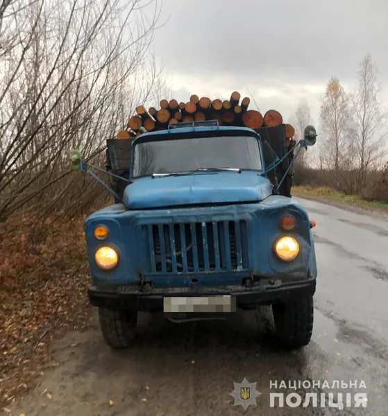 На Волині затримали повну вантажівку кругляка (фото)