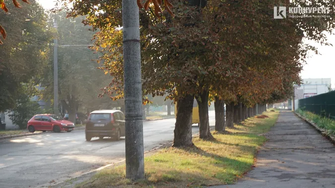 Квіти, песики, каштани: Дубнівська у Луцьку восени (фото)