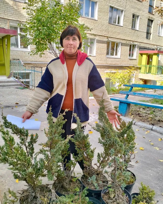 ОСББ Нововолинська висадять 400 саджанців декоративних рослин (фото)