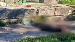 На Рівненщині неадекват каменем забив до смерті жінку (фото)