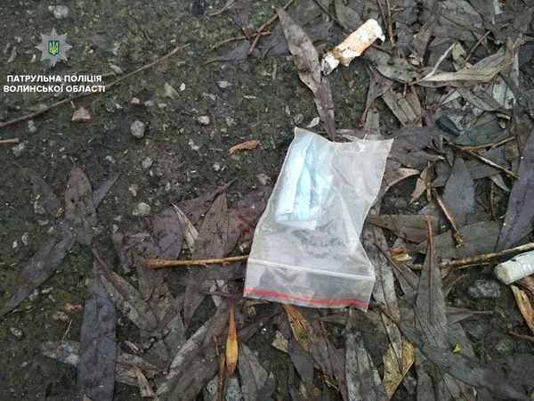 У центральному парку Луцька виявили підозрілих осіб (фото) 