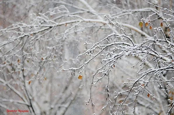 Вночі – до -12°C, вдень – тепліше: погода в Луцьку на четвер, 23 грудня