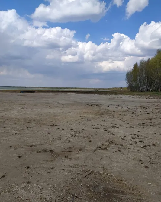 Світязь. Вода відступила від берега на 500 метрів