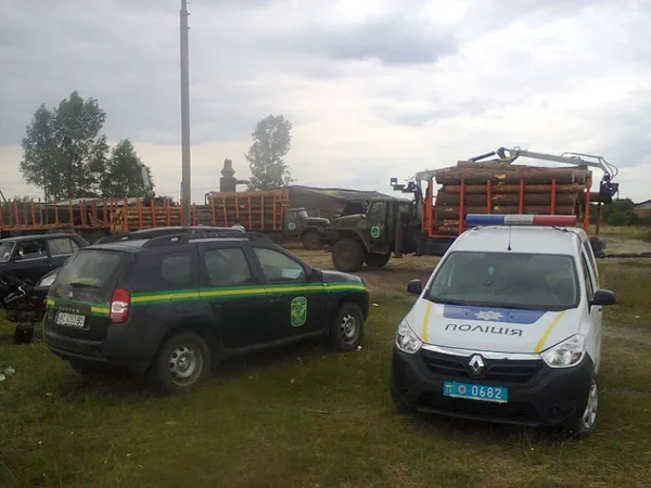 На Волині знайшли «сумнівну» деревину (фото)