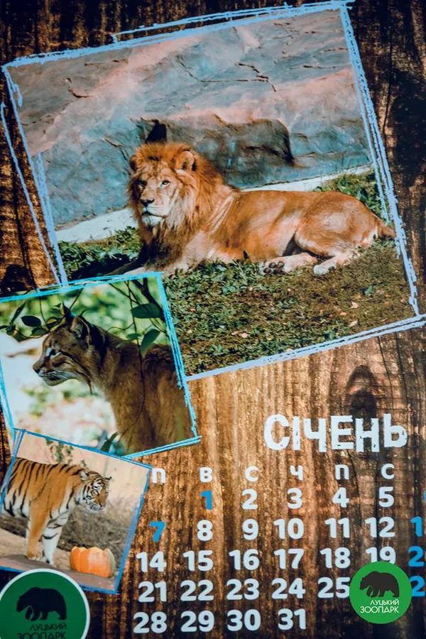 «Луцький зоопарк» видав «мімішний» календар на 2019 рік (фото)