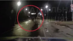 У Луцьку оштрафували п'яних пішоходів (відео)