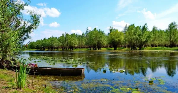 Назвали найцікавіші озера України (фото)