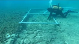 На дні моря біля берегів Хорватії виявили дорогу, якій 7000 років (фото)