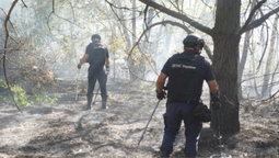 Показали, як волинські сапери працюють на Донеччині (фото)