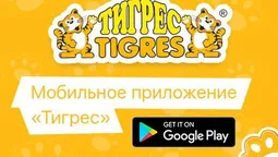 Луцька компанія запустила мобільний додаток для власних товарів