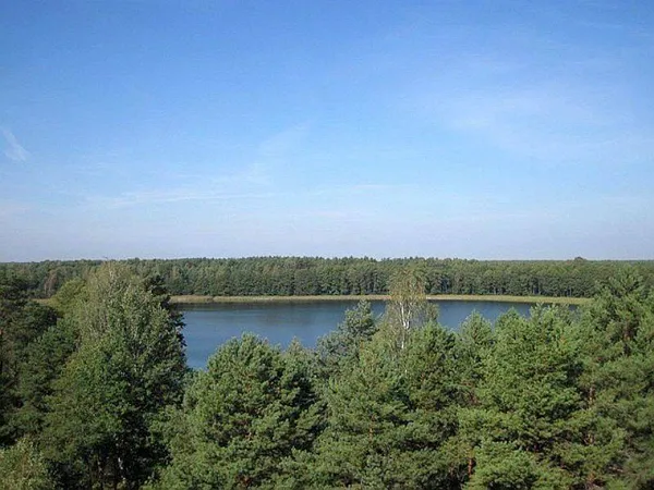 Дно, як на долоні: серед густого лісу на Волині заховане глибоке озеро з кришталево чистою водою (фото)