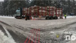 Інші порода й довжина: на Волині зупинили вантажівку з підозрілою деревиною (фото)