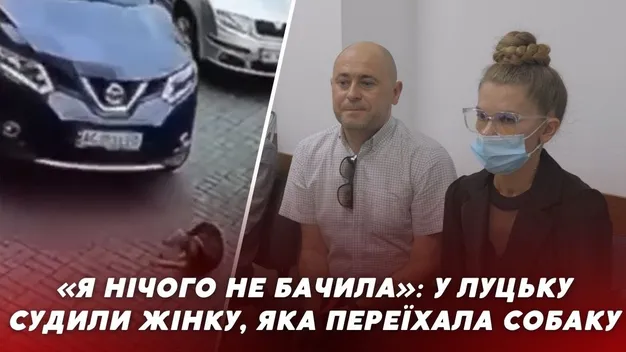 Перекваліфікували у кримінал: у Луцьку судять жінку, яка переїхала собаку біля Яровиці (відео)