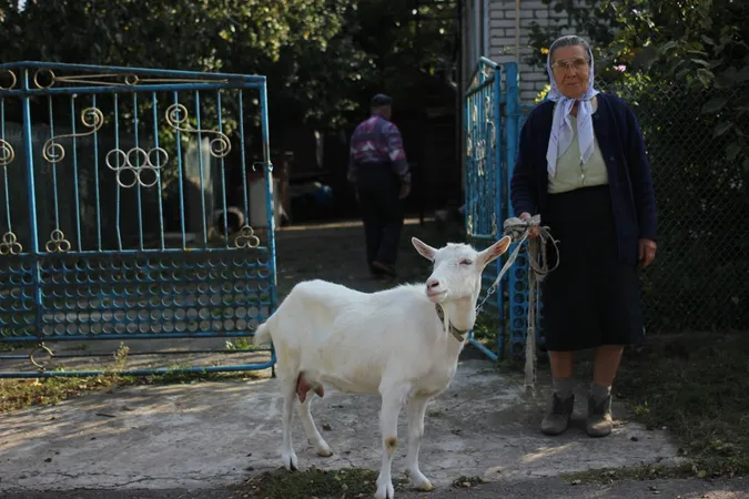 Бабине літо у селі під Луцьком (фото)