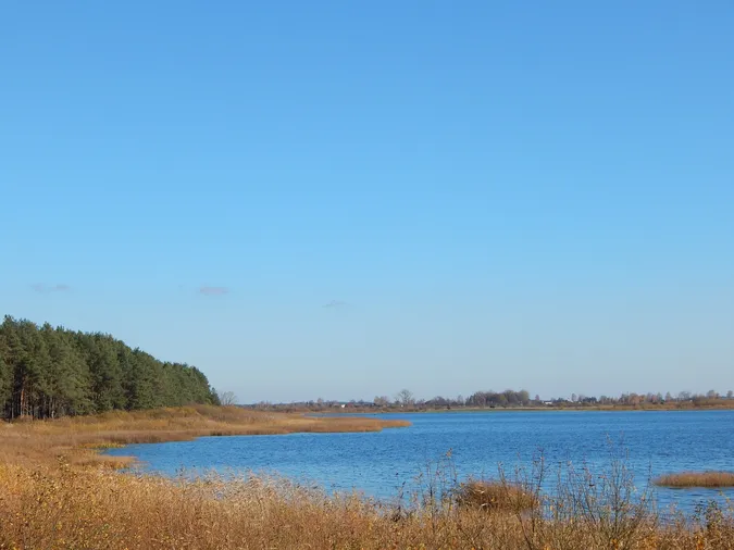 Осінні пейзажі озера на Волині (фото)
