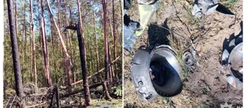 Лісничий знайшов уламки ворожого боєприпасу в лісі на Рівненщині (фото)