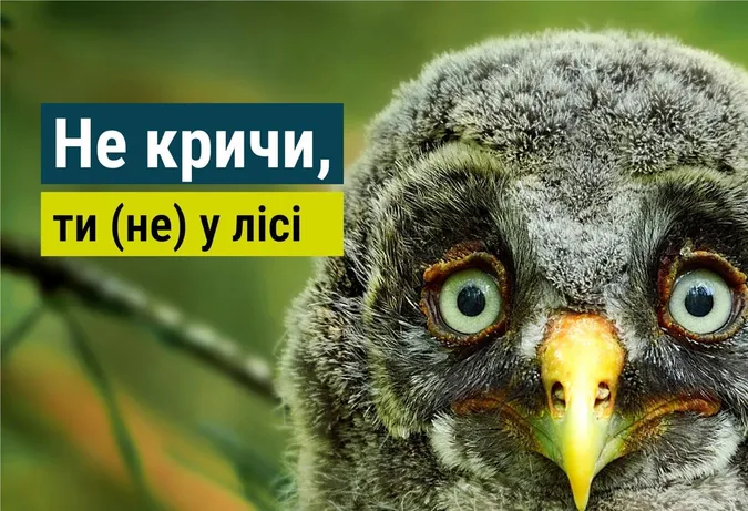 У лісах Волині заборонили кричати