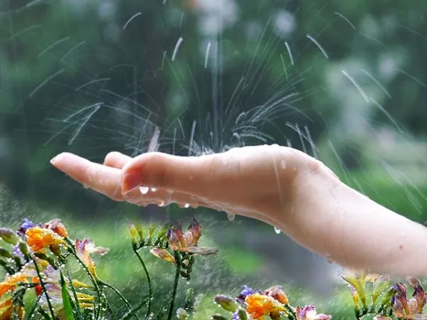 Хмарно, але тепло: погода в Луцьку на четвер, 26 липня 