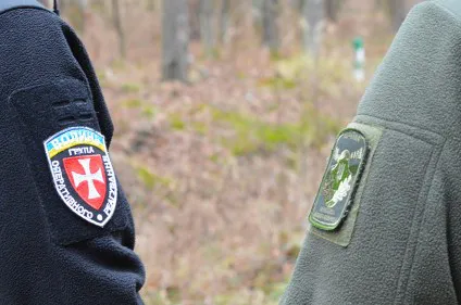 На Волині затримали лісокрадіїв