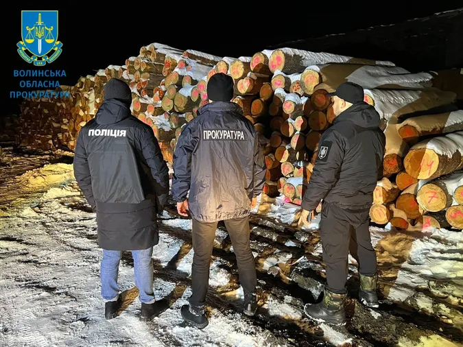 Збитків мільйони гривень: на Волині викрили незаконні вирубки деревини (фото)