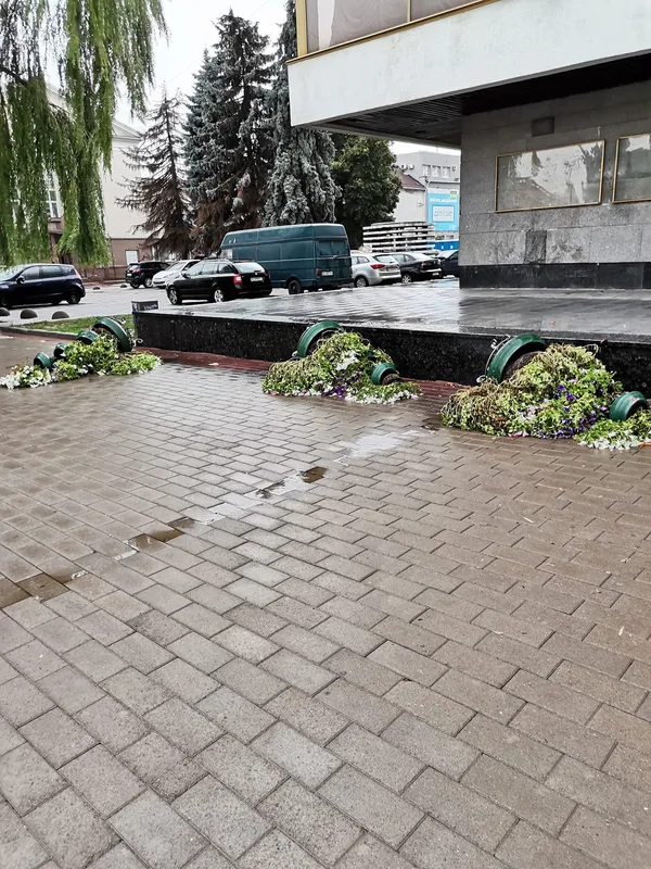 У центрі Луцька вітер перекинув «піраміди» з квітами (фото, відео)
