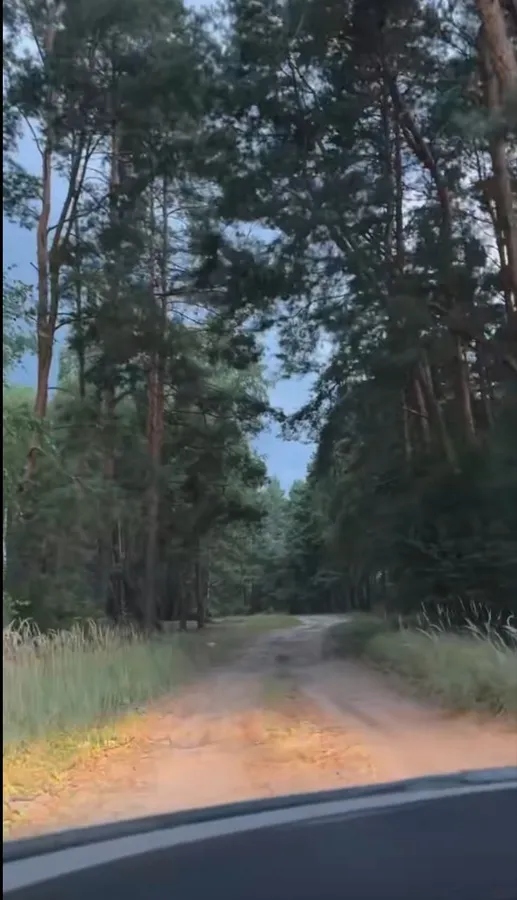 У серці волинського Полісся заховалося мальовниче озеро (відео)