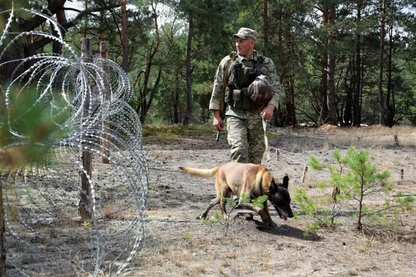 Микола та Агрес: як кінолог і його чотирилапий напарник охороняють кордон із Білоруссю (фото)