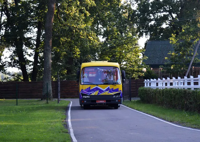 У волинський ліс з короваєм приїхала телеведуча Леся Нікітюк та покаталася на бричці (ФОТО)