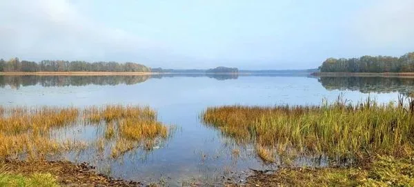 Після сезону відпочинку в Шацьких озерах перевірили якість води: що у ній знайшли (фото)