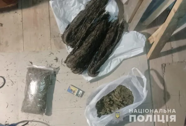 Бурштин і коноплі: поліція влаштувала обшуки в селах Луцького району (фото)