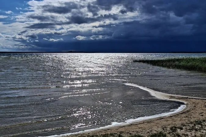 Світязь вразив незвичним видовищем: вода в озері стала схожою на рідке срібло (фото)