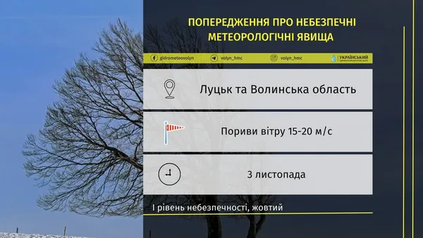 На Волині попереджають про шквальний вітер
