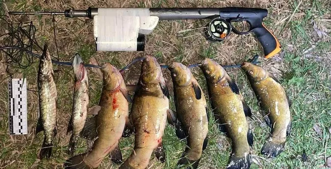 У Луцькому районі браконьєри настріляли щук і линів на 70 тисяч (фото)
