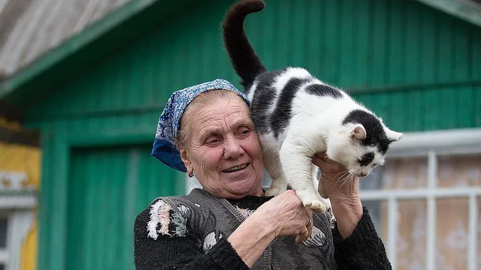 Чому літнім людям не можна заводити котів