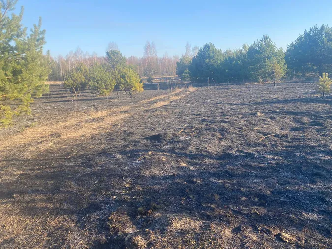 На Волині за кілька днів вигоріло понад 1200 гектарів землі (фото, відео)