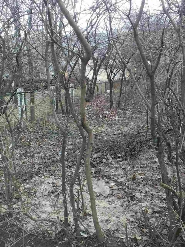 Муніципали перевірили Луцьк на чистоту (фото)