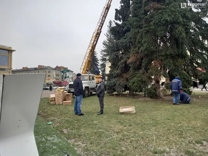 У Луцьку почали прикрашати головні ялинки (фото, відео)