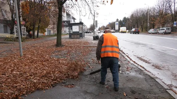 Куди дівають опале листя у Луцьку (відео)